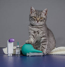 Montpelier Veterinary Hospital - Online Pet Pharmacy