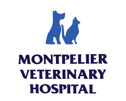 Montpelier Veterinary Hospital